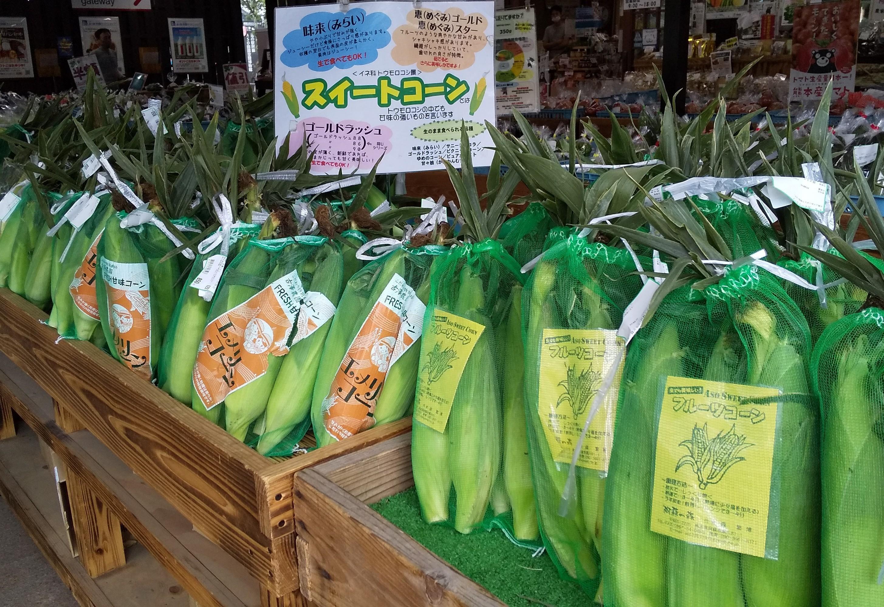 休憩 道の駅 波野 神楽苑 (미치노에키 나미노 카구라엔) 이미지 7